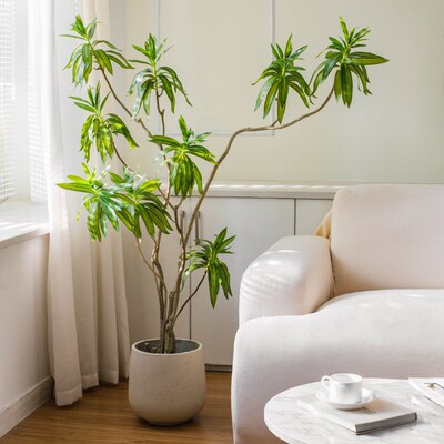 地花房仿真装植百合竹客厅绿饰大型落N盆栽仿生假植物摆件