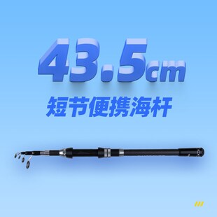 路亚全套甩竿套装 泰戈短节便携式 伸缩海竿远投碳素海杆抛竿振出式