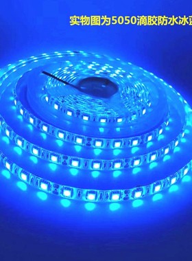 货车汽车展柜亚克力12V5050冰蓝色灯条24V冰蓝防水灯带招牌海洋馆