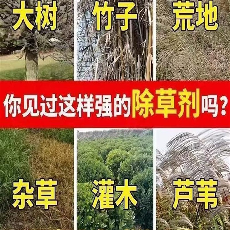 强力除树剂除碍事树王烂根快速枯死竹子专用药清杂草一滴除根神器