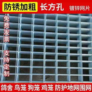 镀锌网片鸽笼鸽舍围栏底网围网加粗长孔养殖网鸟笼隔离防护铁丝网