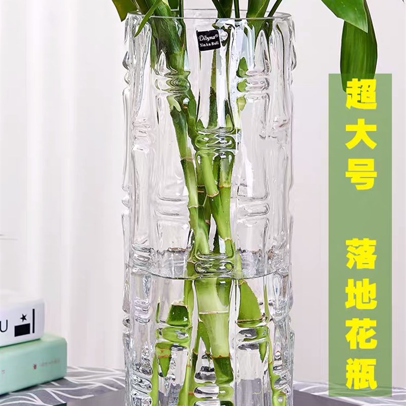 特大号圆柱落地富贵竹花瓶直筒玻璃透明水养水培直筒家用客厅插花