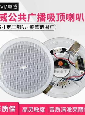 惠威TD201定压吸顶喇叭天花吊顶音响嵌入式背景音乐店铺广播音箱