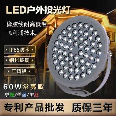 60wLED投光灯防水户外照树灯插地灯别墅草坪亮化七彩超亮防水IP66