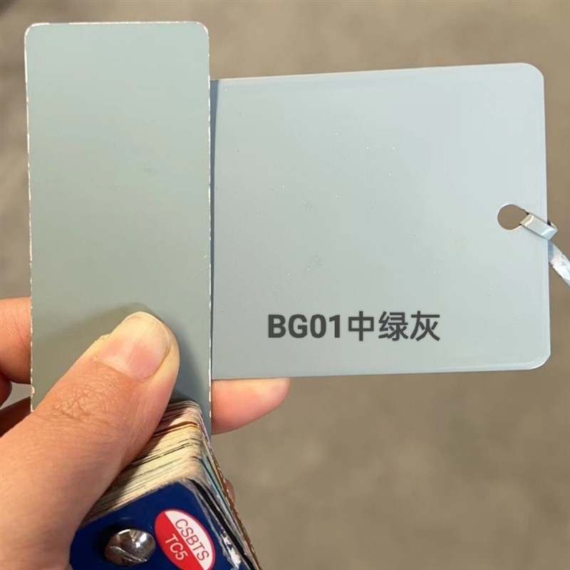 热固性粉末涂料 BG01中绿灰平光/桔纹G10飞机灰 喷涂塑粉B02中灰