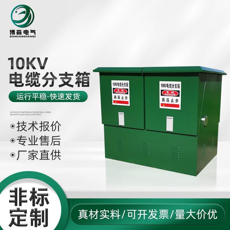10KV电缆分支箱分接箱电缆控制箱户外高压分支箱电缆分接箱