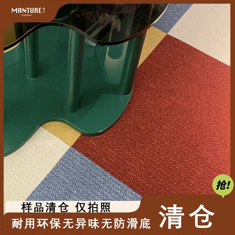 纯色地毯客厅家用防滑耐磨抗静电地毯