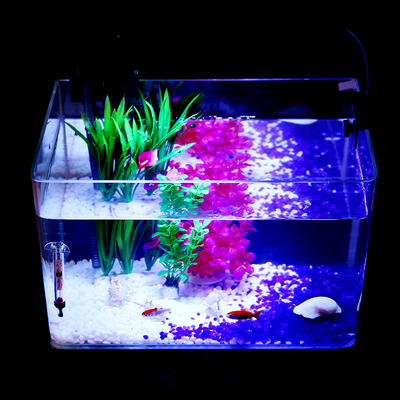 高清热弯玻璃鱼缸水族箱水草缸乌龟缸长方形小型生态桌面鱼缸