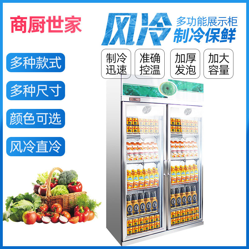 厂家货源啤酒饮料冷藏展示柜 商用大容量冰柜单双门立式饮料柜