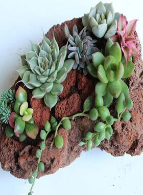 火山石园艺种植污水处理红色黑色滤料火山岩颗粒绿化铺面