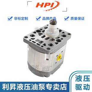 1005 法国HPI液压齿轮泵P1BAN1001 1004 1003 1006油泵马达 1002