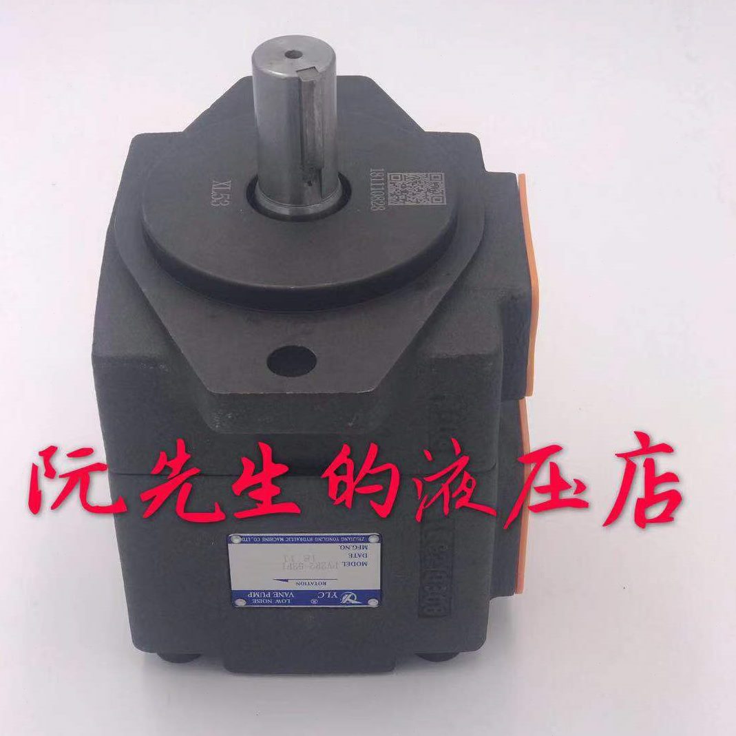 公司居先顶R1C2P定仙L叶片泵液压机Y居永灵V2械有限F量液压-仙26