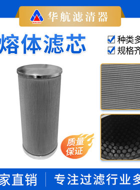 供应RYL100A-010W不锈钢折叠金属网熔体过滤芯 耐高温分离油滤芯