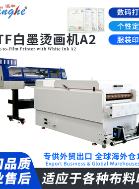 Yinghe 60cm All-in-One DTF Printer | For Fast T-Shirt & Hoodie Customization, User-Friendly
