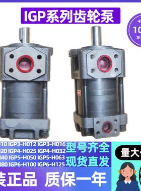 大流量齿轮泵IGP5-H040H050H063IGP6-H080H100H125液压泵头