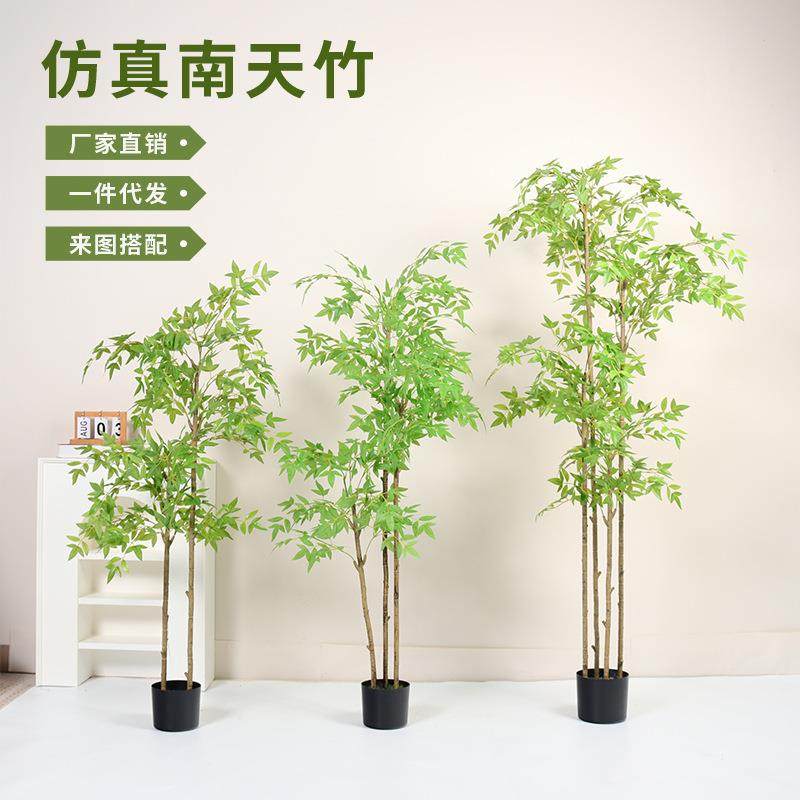 仿真南天竹仿真绿植摆件家居室内客厅装饰摆设假竹子盆栽仿真植物,鲜花速递/花卉仿真/绿植园艺,割草机/草坪机,淘宝优惠券,粉丝福利购,淘宝优惠卷