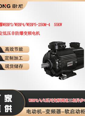 南阳WEBP3/WEBP4/WEBP5-250M-455W高效稳定非防爆变频电机