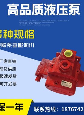 1PA1A1现货/18O32V2ST16CMC叶片泵RIQ4-V奇斯特