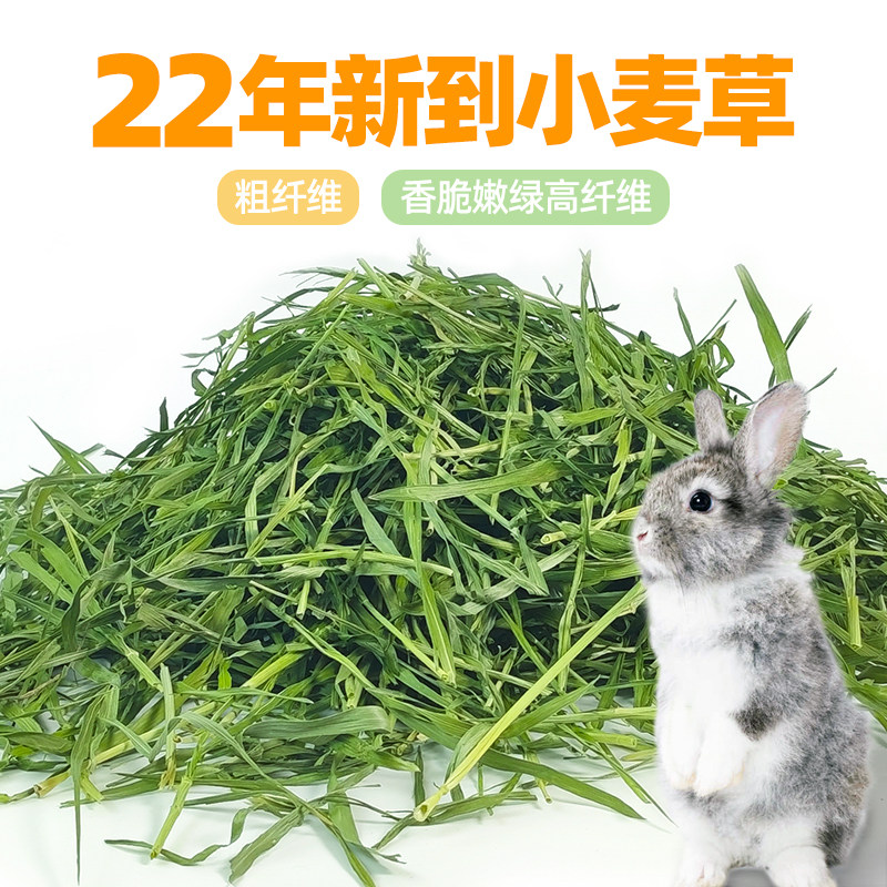 烘干小麦草兔子粮食猪龙猫饲料草料兔兔牧草主粮毛重约g,宠物/宠物食品及用品,兔兔干草,淘宝优惠券,粉丝福利购,淘宝优惠卷