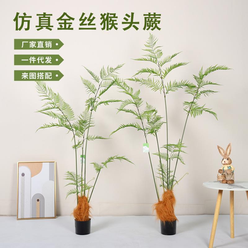 仿真猴头蕨金丝蕨假树盆栽室内客厅庭院造景装饰落地仿生绿植摆件