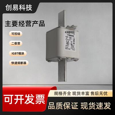 170M5808170M5809170M5810170M5811170M5812170M5813熔断器