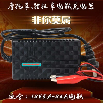 V充板摩托车踏水器铅酸蓄电池干电伏充电机