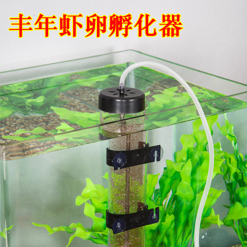 饲年虾卵孵化器可孵化活饵小型鱼食丰料动自孵化细卵丰年虾