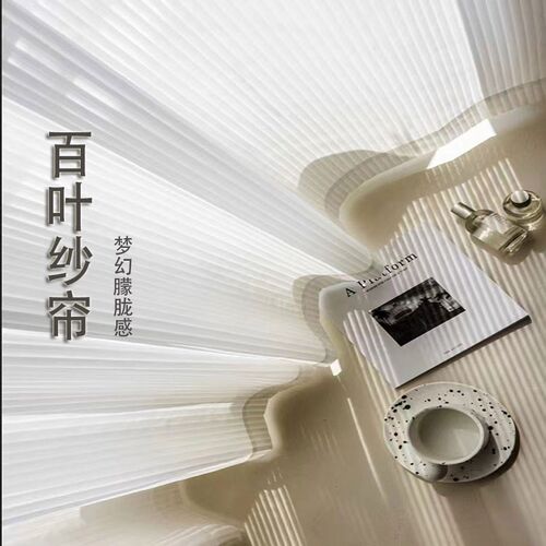 网红竖百叶纱帘窗帘纱帘加高帘透光不透人窗纱白纱卧室客厅阳台纱