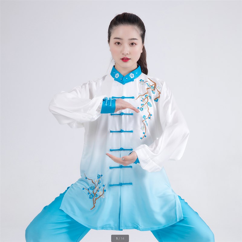 刺绣批纱太极服青花瓷团队武术表演练功晨练演出服中老年太极拳服