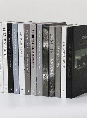 装饰真书简约现桌面摆件建筑组合书售楼处样板房客厅陈列摄影