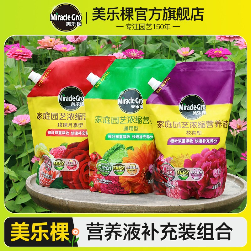 棵营养液通用玫瑰月季花卉盆栽植物绿植肥料补充装液体肥