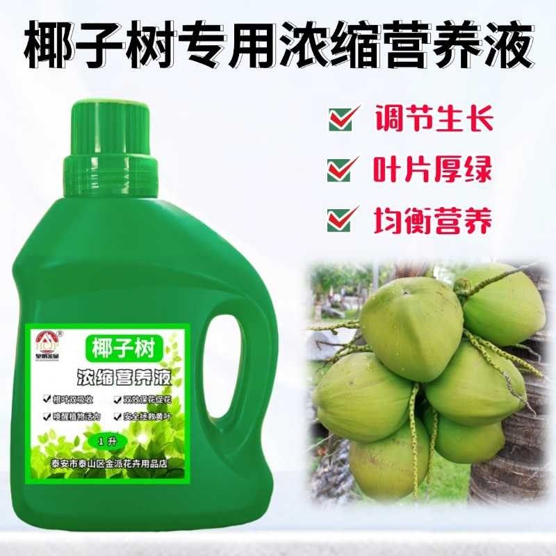 椰子树苗专用营养液体黄金矮化盆栽地栽绿植物通用养果树肥料,鲜花速递/花卉仿真/绿植园艺,家庭园艺肥料,淘宝优惠券,粉丝福利购,淘宝优惠卷
