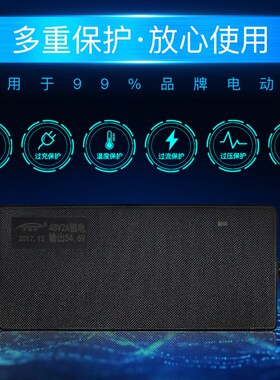 星越驰车电池电动车自行锂充电器2VV36V48V10AH 42V2A54.643A包邮