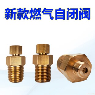新升级款焊炬小燃气自闭阀门配件燃气瓶煤气瓶的全铜阀门带瓶帽