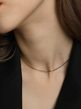 纯银项链冷淡风小众设计感轻奢扁蛇骨锁骨链女颈链2021年新款女