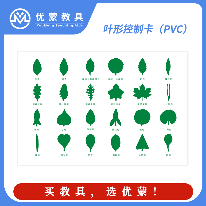 蒙氏教具树叶嵌板配套错误控制卡树叶卡片控制表(PVC)
