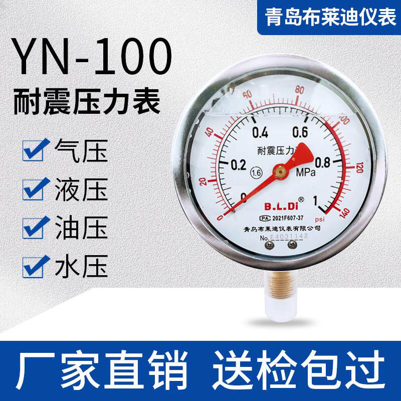 家用工程YN100耐震压力表