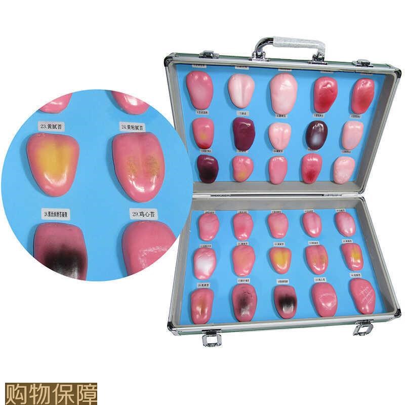 人体舌头舌苔模型常见病舌w苔病变比较中医口腔望诊教学解剖模型