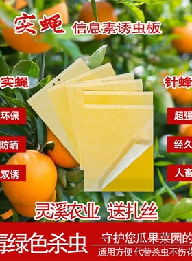 黄色粘虫板双面诱虫板果园小飞虫白粉虱蓝板果实蝇防虫板大棚蓟马