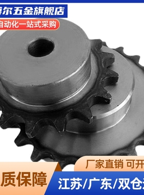 VLF02/11-40/VNF02/40 VMF01/21/03-40 链轮/链条40系列