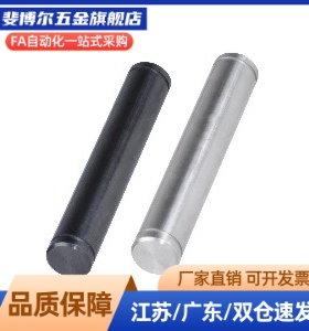 MAD01/2/11/21/22-D5-L200-A10-B10转轴 直杆型 带挡圈