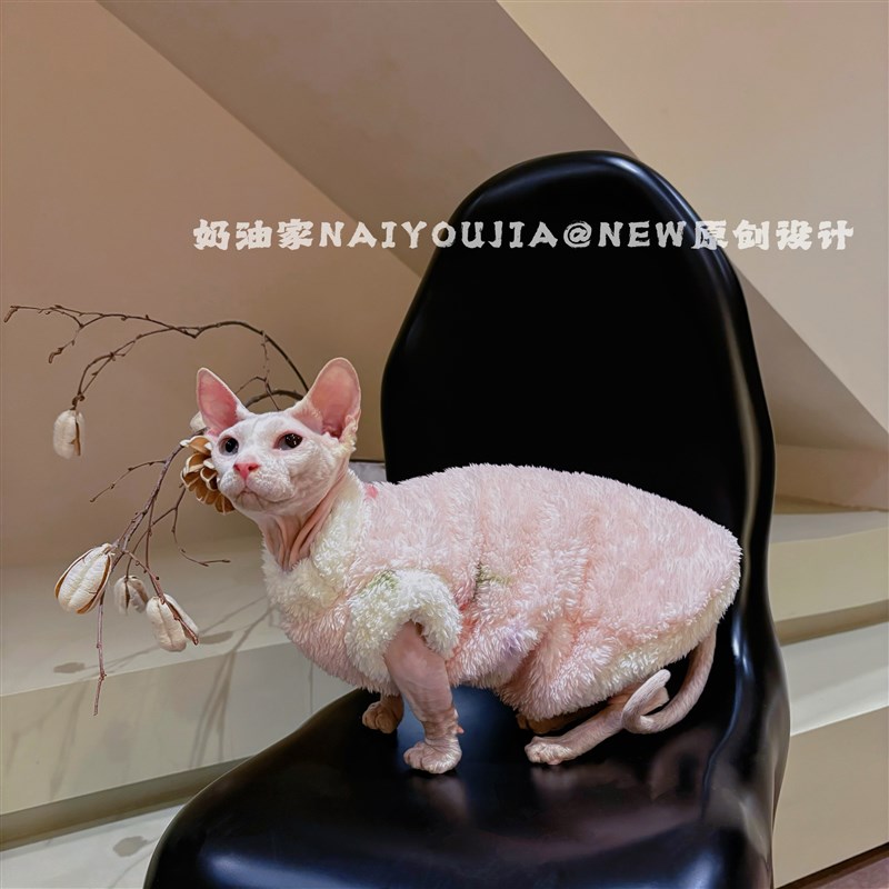 奶油是只无毛猫衣服冬款加厚双面绒德文保暖背心软糯亲肤猫咪通用