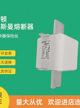 全新快速熔断器保险170M6862 170M6863 170M6864 170M6865
