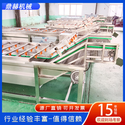 厂家供应不锈钢果蔬清洗机 淡水鱼气泡清洗机 喷淋式花菜清洗机