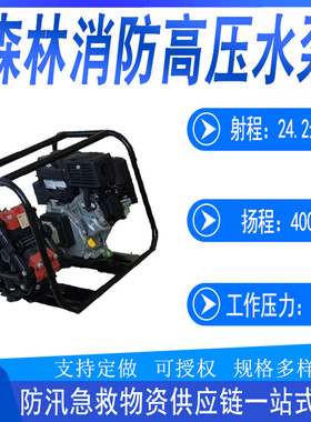 手抬式YPB5-4森林消防高压水泵便携手抬机动泵多用途柱塞隔膜泵