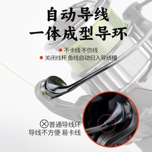 池刃蝰首二代密集排线微物轮路亚纺车轮碳纤维魁首渔轮浅杯鱼线轮