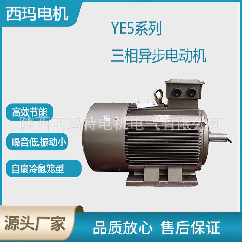 西安电机YE5-80M2-2极1.1W一级能效IE5交流三相异步电动机厂