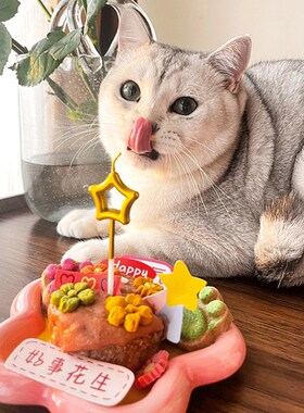 oyu猫咪蛋糕宠物专用罐头套装猫吃的自制礼小礼物y