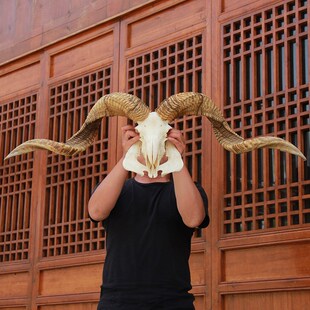 米特大真羊头骨挂件老羊头动物装饰摆件墙面壁饰