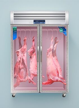 挂肉柜商用牛羊肉保鲜展示冷藏冰柜排酸柜鸡鸭鹅吊柜子立式冷冻柜